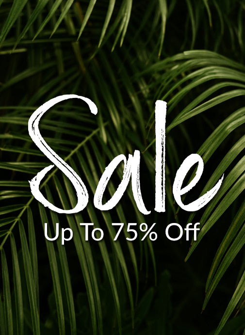 Eclipse Stores Women’s Clothing